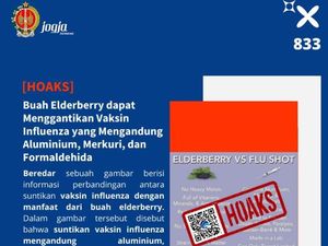Hoaks Buah Elderberry Bisa Ganti Vaksin Influenza yang Mengandung Aluminium