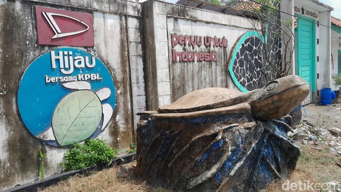 Konservasi Raksa Bintana Pantai Batuhiu Pangandaran
