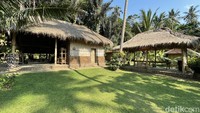 Untuk masuk ke Samsara Living Museum traveler wajib membayar biaya tiket masuk. Untuk wisatawan asing dan domestik dikenakan biaya sebesar Rp 100 ribu. Bagi warga lokal Bali dikenakan biaya sebesar Rp 50 ribu. 