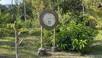 Jangan heran, Samsara Living Museum yang terlihat rimbun dengan banyak pepohonan. Hal ini karena Samsara Living Museum melakukan konservasi terhadap 150 jenis tanaman yang biasanya digunakan pada saat upakara di Bali.