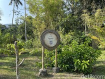 Samsara Living Museum Koleksi 150 Tanaman Upakara, Warlok Boleh Ambil