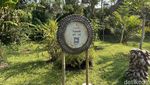 Meneladani Ritual Siklus Hidup Manusia di Samsara Living Museum Bali
