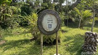 detikTravel juga diajak untuk berkeliling di sekitar museum, guide menjelaskan masing-masing tanaman yang digunakan saat proses siklus hidup manusia. Ternyata pada setiap prosesi menggunakan bahan dari tanaman yang berbeda loh traveler. Menarik banget! Tak hanya melakukan konservasi, Bagus Wisnawa selaku operasional Samsara Living Museum juga menyebut pihak pengelola juga akan memberikan tanaman upakara ini bagi masyarakat yang membutuhkan. 