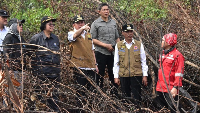 Menteri LHK Siti Nurbaya mengecek kondisi karhutla di wilayah OKI