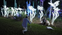 Ini dia suasana di Fairchild Tropical Botanic Garden di Miami, Florida, Amerika Serikat, Jumat (10/11/2023).