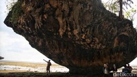 Selama masa kepemimpinannya, Samparaja Daeng Malaja diberi gelar Karaeng Sahapatu (Raja Pertama Kerajaan Tiro) dan disebut sebagai sosok pemimpin yang tegas, juga keras pada rakyatnya.
