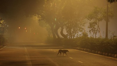 Pagi Berpolusi di New Delhi