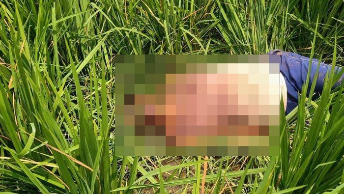 Petani cabai di Probolinggo yang ditemukan tewas di tengah sawah diduga dibunuh