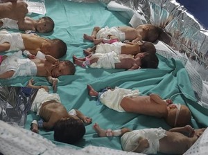 Situasi Pilu RS Al-Shifa Gaza saat Puluhan Bayi Prematur Dievakuasi