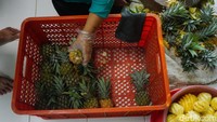 Purbalingga dikenal akan budi daya nanas madunya. Penjual nanas ini mudah sekali ditemui. Nanas tersebut bisa dibeli dalam bentuk utuh atau juga yang sudah dipotong kecil dan tinggal dimakan. Rasanya manis dan renyah.  