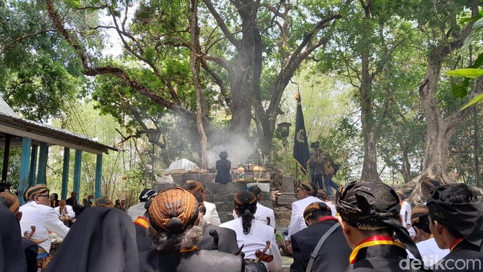Ritual Mahesa Lawung Keraton Solo di Alas Krendowahono, Karanganyar, Senin (13/11/2023).