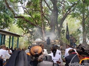 Mahesa Lawung Keraton Solo, Ritual Tanam Kepala Kerbau di Hutan Krendowahono