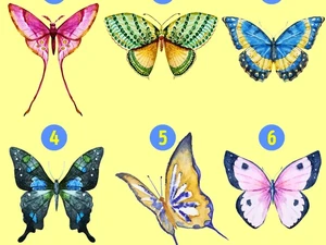 Tes Psikologi: Gambar Kupu-kupu yang Dipilih Ungkap Hal Tersembunyi di Dirimu