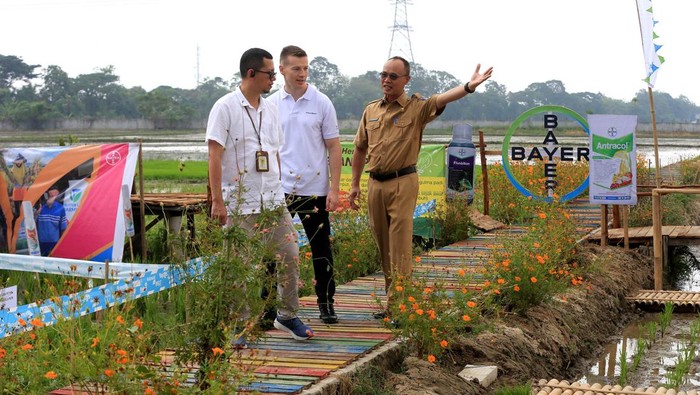 Bayer untuk Indonesia (BISA) diluncurkan di Kabupaten Serang, Banten (13/11). Program ini bertujuan meningkatkan produktivitas pertanian dan kualitas kesehatan petani.