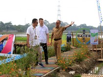 Usaha Meningkatkan Produktivitas Pertanian