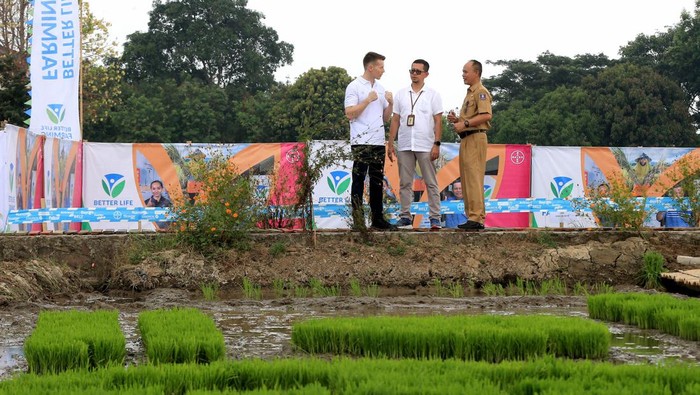 Usaha Meningkatkan Produktivitas Pertanian Bayer untuk Indonesia (BISA) diluncurkan di Kabupaten Serang, Banten (13/11). Program ini bertujuan meningkatkan produktivitas pertanian dan kualitas kesehatan petani.