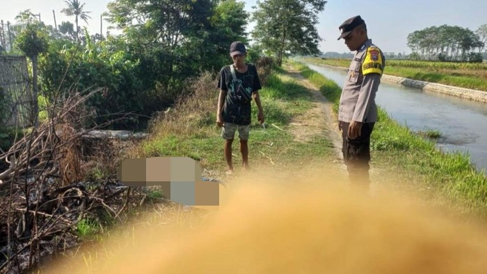 Wanita Jember dibunuh di tepi sungai