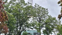 Namsan Tower.