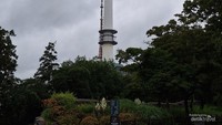Namsan Tower dari kejauhan.