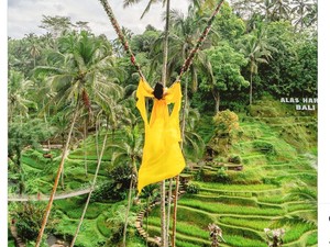 Harga Tiket Alas Harum Bali, Serunya Naik Ayunan Esktrem di Tengah Alam Hijau