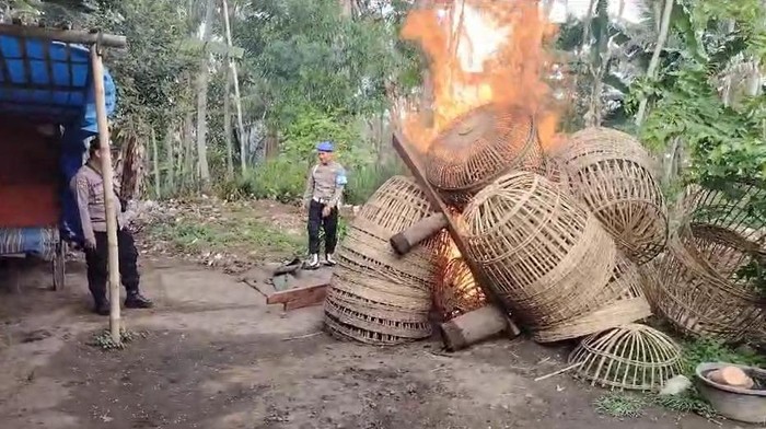 Arena judi sabung ayam di Malang digerebek dan dibakar polisi