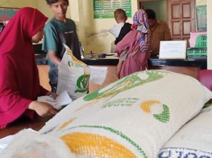 Bos Badan Pangan Ungkap Alasan Bantuan Beras Tak Lagi dari Kemensos
