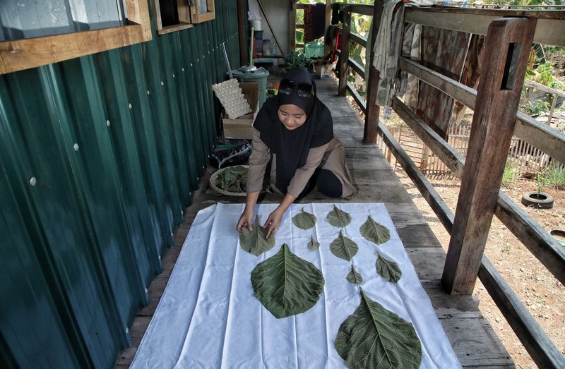 Kerajinan Daun Lontar Jaga Budaya-Berdayakan Ibu-ibu Desa Tritiro Sulsel