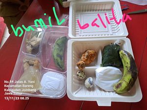 Makanan Balita Stunting di Jombang Ditolak gegara Dinilai Tak Layak Konsumsi
