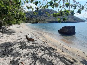 Pantai Sori Nehe di Bima, Spot Wisata yang Cocok untuk Snorkeling