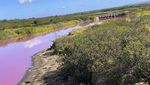 Penampakan Telaga di Hawaii Berubah Warna Misterius Menjadi Pink