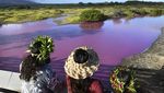 Penampakan Telaga di Hawaii Berubah Warna Misterius Menjadi Pink