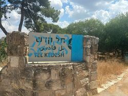 Foto Desa Palestina Dibuldoser Israel Tahun 1948 Bermodus Arkeologi