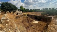 Ini adalah reruntuhan Desa Qadas di Palestina, yang penduduknya terusir dan terpaksa mengungsi saat Peristiwa Nakba tahun 1948. Foto: Sasha Flit via Haaretz.