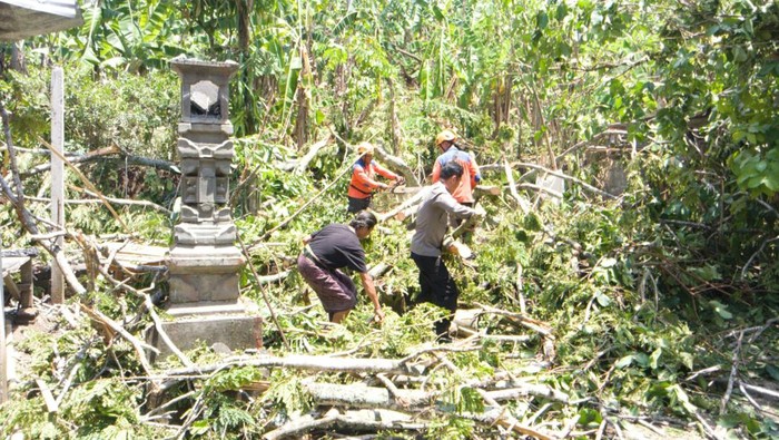 Personel BPBD Kabupaten Karangasem membersihkan pohon tumbang yang menimpa rumah dan sejumlah palinggih di Kecamatan Manggis, Kabupaten Karangasem, Bali, Selasa (14/11/2023.) (Foto: Dok. BPBD Karangasem)