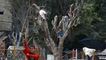 38 Hari Dibombardir Israel, Warga Gaza Selatan Kekurangan Makanan-Air