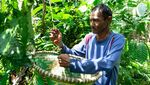 Proyek RMU Raih Penghargaan Indonesias SDGs Award 2023