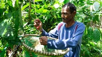 CEO PT RMU Dharsono Hartono menyebut, iklim, biodiversitas, dan pemberdayaan masyarakat merupakan pilar utama dalam upaya merestorasi dan menjaga ekosistem rawa gambut di wilayah kerja PT RMU. 