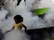 Bangladesh Diamuk Lonjakan Kasus DBD, Faskes Penuh Sesak-1 Bed Diisi 2 Pasien