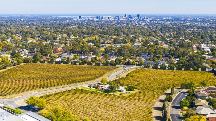 Aerial view of the City of Adelaide with autumn colours, Penfolds Winery & yellow vineyards in the foreground, leading to leafy eastern suburbs, the city centre and the coast.