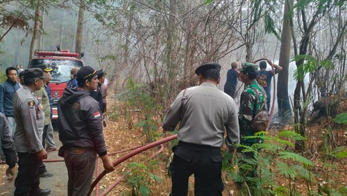Aparat TNI/Polri, RPH, dan Damkar Bangli berupaya memadamkan api yang membakar 1 hektare lahan kering di Kintamani, Rabu (15/11/2023). (Foto: Dok Polsek Kintamani)