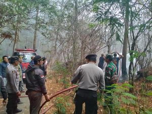 1 Hektare Hutan di Kintamani Ludes gegara Warga Bakar Semak
