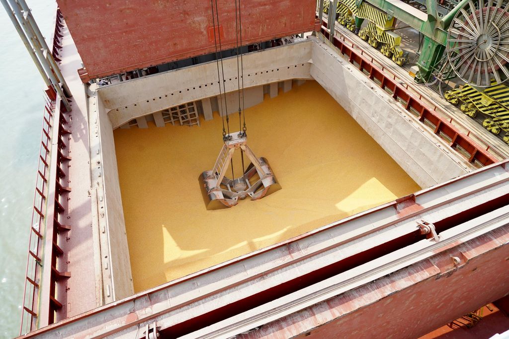 Bongkar muat 20.000 ton jagung impor di Pelabuhan Teluk Lamong, Surabaya, Rabu (15/11/2023). (Dok. Humas Bapanas)