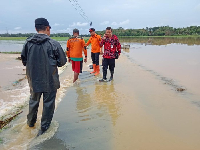 BPBD Banyumas meninjau lokasi yang terendam banjir di Grumbul Karet, Kecamatan Sumpiuh, Kabupaten Banyumas, Rabu (15/11/2023).