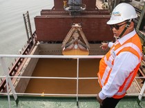 500 Ribu Ton Jagung Pakan Impor Tiba di RI, Buwas Pantau Langsung