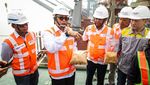 500 Ribu Ton Jagung Pakan Impor Tiba di RI, Buwas Pantau Langsung