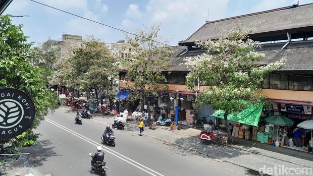Bunga Tabebuya bermekaran di kawasan Pasar Gede Solo, Rabu (15/11/2023).