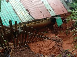 Hujan Deras Sebabkan Longsor dan Pohon Tumbang di Pangandaran