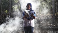 Ikan asap ini dijual dengan harga Rp 16.000 hingga 20 ribu/pack.  
