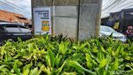 Mural Kritik Sosial di Tembok Jaksel