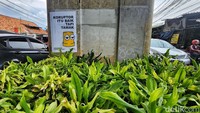 Mural itu juga sebagai media penyampaian kritik sosial kepada pemerintah.